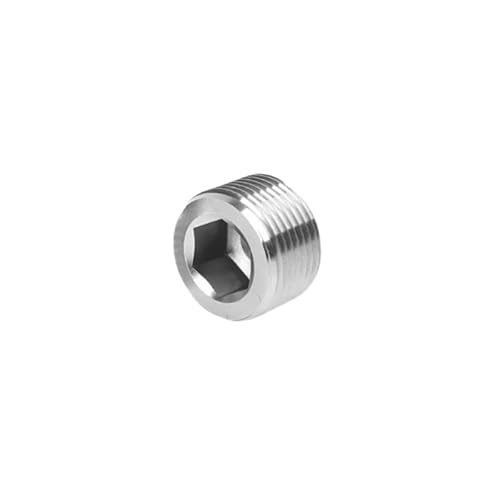 1PC BSPT/BSPP/NPT Außengewinde 304 Edelstahl Innensechskant Endkappe Innensechskant Stecker Öl Wasser Rohrverschraubung(BSPT thread,1I4 inch) von RTKYYZ