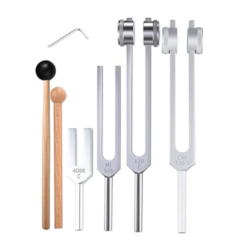 4-teiliges Stimmgabel-Set (128 Hz, OM 136,1 Hz, MI 528 Hz, 4096 Hz), zur Chakra-Heilung, Klangtherapie, Stressabbau von RTKYYZ