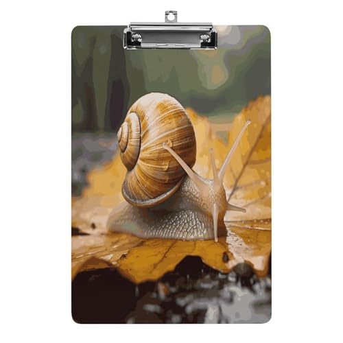 Acryl-Klemmbrett, 32,5 x 21,6 cm, lustige Schnecke in Blättern, Druck-Dateibrett, niedlich, mit flachem Profil-Clip für Bürobedarf von RTSEBVN