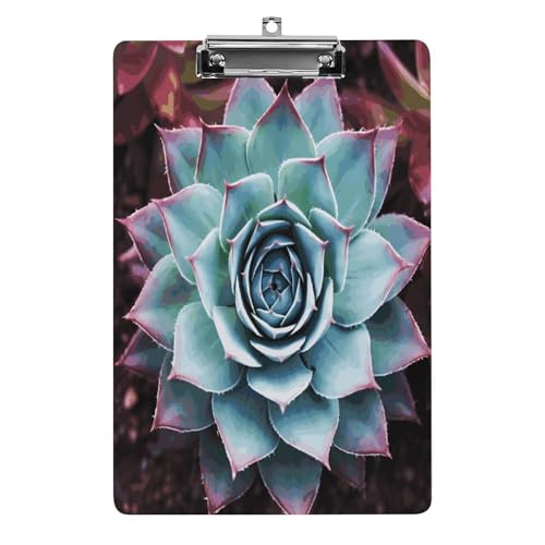 Acryl-Klemmbrett, 32,5 x 21,6 cm, lustige Sukkulenten-Druck-Dateiplatte, niedlich, mit flachem Profil-Clip für Bürobedarf Acryl-Klemmbrett, 32,5 x 21,6 cm, lustige Sukkulenten-Druck-Dateiplatte, niedlich, mit flachem Profil-Clip für Bürobedarf von RTSEBVN