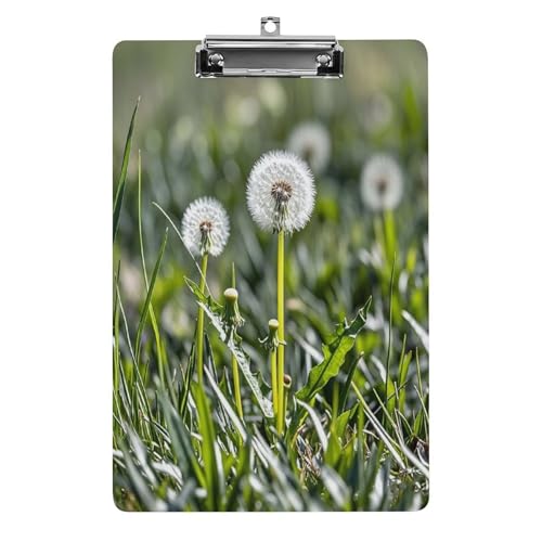 Acryl-Klemmbrett, 32,5 x 21,6 cm, lustiger Blumenstiel, Druck-Dateibrett, Clip, niedlich, mit niedrigem Profil-Clip für Bürobedarf Acryl-Klemmbrett, 32,5 x 21,6 cm, lustiger Blumenstiel, Druck-Dateibrett, Clip, niedlich, mit niedrigem Profil-Clip für Bürobedarf von RTSEBVN