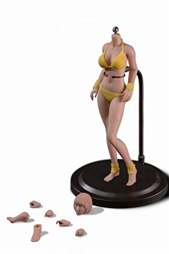 RTYBCDE 1/12 Maßstab Action-Figuren, 6-Zoll weibliche TBLeague superflexible Blasses Haut schlanke Körper-Typ mittlerer Busen Miniatur-Action-Figuren (T03A Blasses Haut) von RTYBCDE
