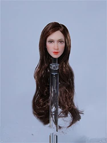 RTYBCDE 1/12 Weibliche Kopf, 1/12 Schöne europäische Frau mit eingepflanztem Haar, Kopfmodell-Spielzeug für 6-Zoll-Aktionfigur-Puppenkörper (FG077A) von RTYBCDE