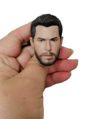 RTYBCDE 1/6 Männliche Kopfskulptur, Chris Hemsworth, europäischer Mann, geschnitzt für 12-Zoll-Aktionfigur-Puppenkörper (D) von RTYBCDE