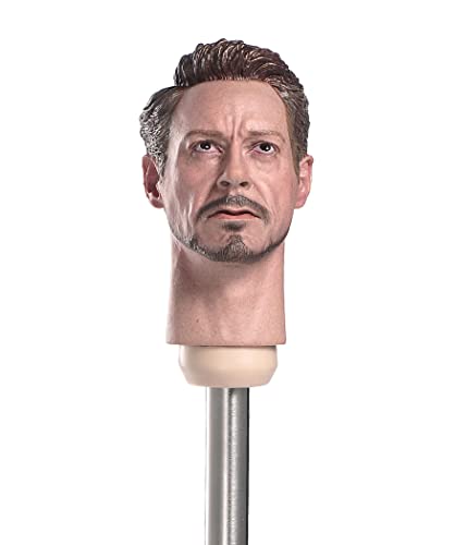 RTYBCDE 1/6 Männliche Kopfskulptur, Europäischer Mann, Kopfmodell, Spielzeug für 12-Zoll-Soldaten-Aktionfigur-Puppenkörper (G) von RTYBCDE