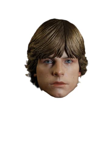 RTYBCDE 1/6 Männliche Kopfskulptur, Mark Hamill, europäischer Mann, geschnitzt für 12-Zoll-Aktionfigur-Puppenkörper (B) von RTYBCDE
