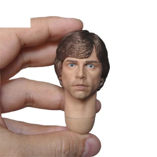 RTYBCDE 1/6 Männliche Kopfskulptur, Mark Hamill, europäischer Mann, geschnitzt für 12-Zoll-Aktionfigur-Puppenkörper (C) von RTYBCDE