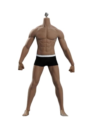 RTYBCDE 1/6 Männlicher Körper, 12-Zoll-superflexibler, Nahtloser, sonnengebräunter, starker muskulöser männlicher Aktionfigur-Puppenkörper (M33) von RTYBCDE
