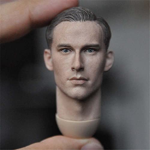 RTYBCDE 1/6 Maßstab männliche Kopf-Skulptur, europäischer Mann Langer Hals Kopf geschnitzt für 12-Zoll männliche Soldaten Action-Figuren-Körper (D) von RTYBCDE