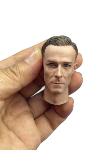 RTYBCDE 1/6 Maßstab männliche Kopf-Skulptur, europäischer Mann Langer Hals Kopf geschnitzt für 12-Zoll männliche Soldaten Action-Figuren-Körper (F) von RTYBCDE
