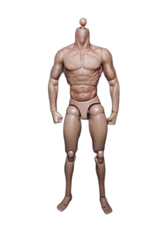 RTYBCDE 1/6 Maßstab männlicher Körper, 12-Zoll Flexible muskulöse Action-Figuren-Puppen für 1:6 Maßstab Kopf-Skulptur RTYBCDE 1/6 Maßstab männlicher Körper, 12-Zoll Flexible muskulöse Action-Figuren-Puppen für 1:6 Maßstab Kopf-Skulptur von RTYBCDE