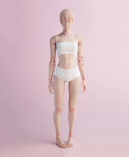 RTYBCDE 1/6 Maßstab weiblicher Körper, 12-Zoll Worldbox weiblicher Flexibler blasser gebräunter Haut Action-Figuren-Körper-Sammlung (Blasses Haut, Standard-Version) von RTYBCDE