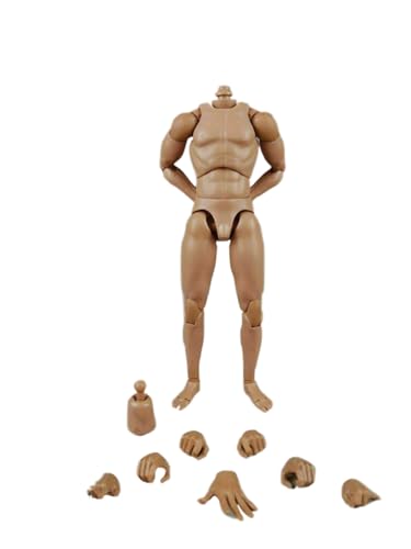 RTYBCDE 1/6 Skala männlicher Körper, 12-Zoll COOMODEL Flexibler muskulöser männlicher nackter Action-Figuren Neuer Standard schmale Schulter Körper-Sammlung (BD001-schmale Schulter-25 cm) von RTYBCDE