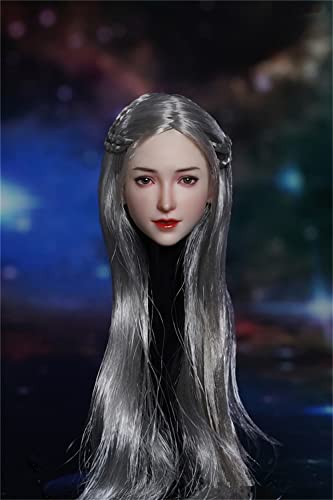 RTYBCDE 1/6 Weibliche Kopfskulptur, Schöne Frau mit hellhäutigem Gesicht und eingepflanztem Haar, geschnitzt für 12-Zoll-Phicen-TBLeague-Aktionfigur-Puppenkörper (silbernes Haar) von RTYBCDE