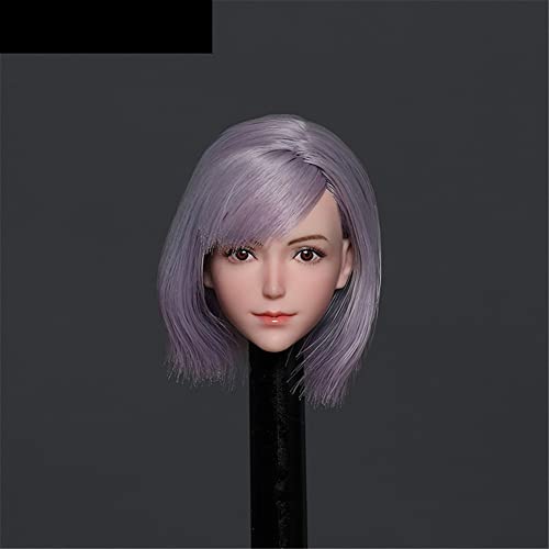 RTYBCDE 1/6 Weibliche Kopfskulptur, Schöne hellhäutige Frau, geschnitzt für 12-Zoll-weibliche Nahtlose Aktionfigur-Puppenkörper (schwarzes glattes Haar) von RTYBCDE