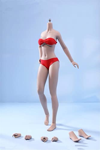 RTYBCDE 1/6 weiblicher Körper, TBLeague 12 Zoll weiblicher superflexibler mittlerer Busen Nahtloser Action-Figuren-Körper-Puppe mit abnehmbaren Füßen (S49A gebräunte Haut ohne Kopf) von RTYBCDE