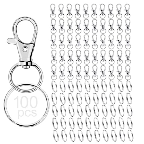 RUBY 100 Stück Schlüsselanhänger Karabiner Edelstahl Drehgelenk Karabinerhaken Klein mit Schlüsselringe Karabiner Schlüsselanhänger Selber Machen Basteln (Silber) RUBY 100 Stück Schlüsselanhänger Karabiner Edelstahl Drehgelenk Karabinerhaken Klein mit Schlüsselringe Karabiner Schlüsselanhänger Selber Machen Basteln (Silber) von RUBY