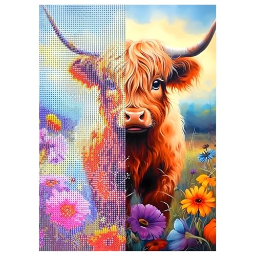 RUGBOL Diamond Art Highland Cow, DIY Diamond Art Painting Kits Diamond Painting Highland Cow Diamond Art 5D Diamond Painting Buntglas-Kits für die Wanddekoration zu Hause (30 cm x 40 cm) von RUGBOL