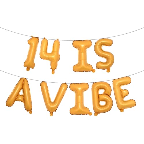 14 ist ein mehrfarbiges Glitzer-Ballon-Banner – Partyzubehör, Ideen, Geschenke und Dekorationen (14 ist ein Vibe-Orange) von RUIANSI