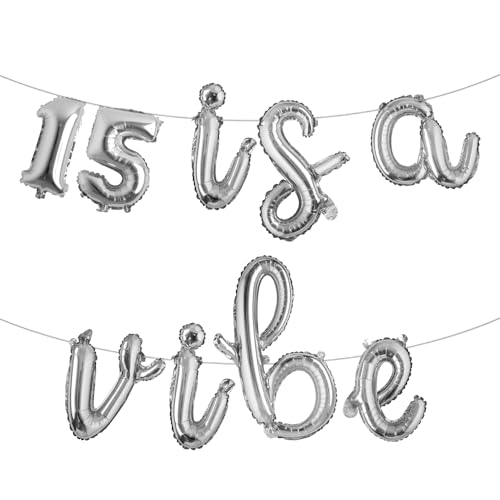 15 ist ein Vibe-Ballon-Banner, lustiges Banner zum 15. Geburtstag, Dekoration für Jungen, Mädchen, Teenager, 15 Jahre, Happy 15th Birthday, Partyzubehör, Geschenkideen (L 15 ist eine Stimmung, Silber) von RUIANSI