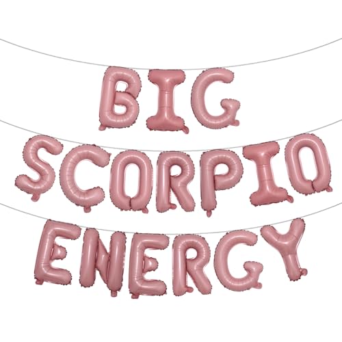 Big Scorpio Energy Sternzeichen Geburtstagsbanner, Oktober November Geburtstag Banner, Sternzeichen Skorpion, Horoskop, Astrologie, Geburtstagsparty-Dekorationen, mehrfarbig (Big Scorpio Energy Pink) von RUIANSI