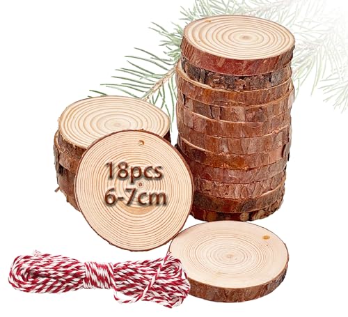 RUIXUE18 Stücke Holzscheiben 6-7cm Kleine Holzscheiben,Holzscheiben Perforiert 10mm dick,Baumscheiben Natürliche,mit 10m Juteschnur, für Weihnachtsdeko,Handwerk,DIY. von RUIXUE
