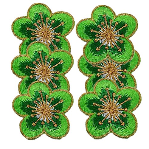 Bestickte Stoffflicken mit Blumenmuster, Applikationen für Kleidung, 6 Stück, kleine Pflaume, zum Aufbügeln, Blumen-Dekoration (grün) von RURUR