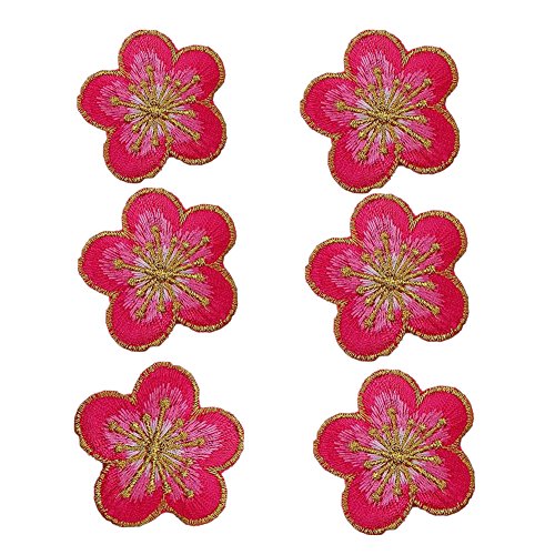 Bestickte Stoffflicken mit Blumenmuster, Applikationen für Kleidung, 6 Stück, kleine Pflaume, zum Aufbügeln (Rose) von RURUR
