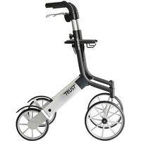 RUSSKA Rollator let's go out 11449010 silber von RUSSKA