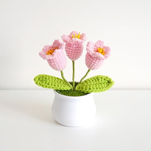 3 Stück kleine Maiglöckchen-Blumen im Topf,gehäkelte Kunstblumen,handgefertigte Häkelblumen,für Valentinstag,Hochzeitsfeier,können als Autodekoration oder Heimdekoration verwendet werden Pink 3 Stück kleine Maiglöckchen-Blumen im Topf,gehäkelte Kunstblumen,handgefertigte Häkelblumen,für Valentinstag,Hochzeitsfeier,können als Autodekoration oder Heimdekoration verwendet werden Pink von RVGVPMAMTZ