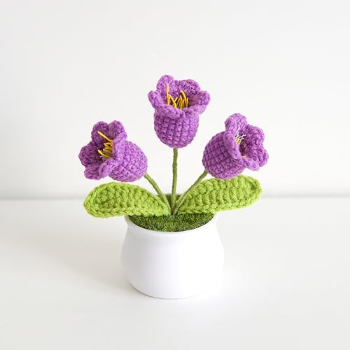 3 Stück kleine Maiglöckchen-Blumen im Topf,gehäkelte Kunstblumen,handgefertigte Häkelblumen,für Valentinstag,Hochzeitsfeier,können als Autodekoration oder Heimdekoration verwendet werden Purple 3 Stück kleine Maiglöckchen-Blumen im Topf,gehäkelte Kunstblumen,handgefertigte Häkelblumen,für Valentinstag,Hochzeitsfeier,können als Autodekoration oder Heimdekoration verwendet werden Purple von RVGVPMAMTZ
