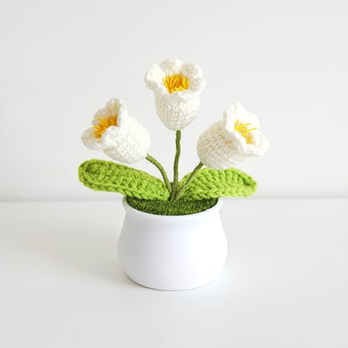 3 Stück kleine Maiglöckchen-Blumen im Topf,gehäkelte Kunstblumen,handgefertigte Häkelblumen,für Valentinstag,Hochzeitsfeier,können als Autodekoration oder Heimdekoration verwendet werden White 3 Stück kleine Maiglöckchen-Blumen im Topf,gehäkelte Kunstblumen,handgefertigte Häkelblumen,für Valentinstag,Hochzeitsfeier,können als Autodekoration oder Heimdekoration verwendet werden White von RVGVPMAMTZ