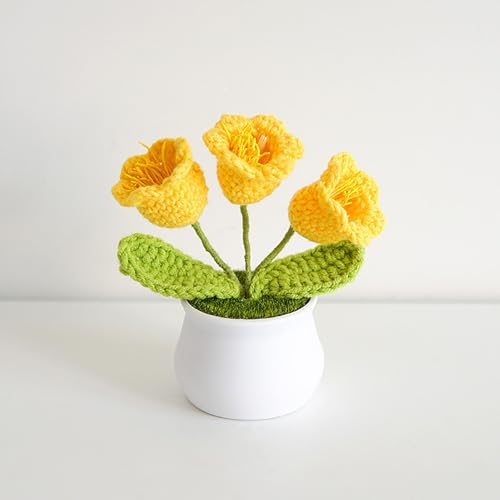 3 Stück kleine Maiglöckchen-Blumen im Topf,gehäkelte Kunstblumen,handgefertigte Häkelblumen,für Valentinstag,Hochzeitsfeier,können als Autodekoration oder Heimdekoration verwendet werden Yellow 3 Stück kleine Maiglöckchen-Blumen im Topf,gehäkelte Kunstblumen,handgefertigte Häkelblumen,für Valentinstag,Hochzeitsfeier,können als Autodekoration oder Heimdekoration verwendet werden Yellow von RVGVPMAMTZ