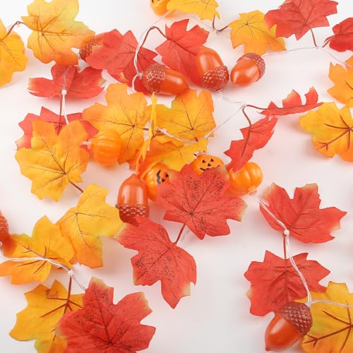 RYAN Herbstgirlande mit Licht 3M 20 LED Herbstgirlande HerBstblätter Halloween Girlande für Herbst Kürbis Erntedankfest Innen Außen Halloween Deko Tür RYAN Herbstgirlande mit Licht 3M 20 LED Herbstgirlande HerBstblätter Halloween Girlande für Herbst Kürbis Erntedankfest Innen Außen Halloween Deko Tür von RYAN