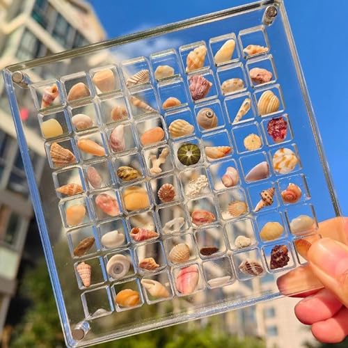 Magnetische Aufbewahrungsbox aus Acryl, Muschel-Aufbewahrungsbox, dekorative Muschel-Seestern-Schmuckstücke, klare Acryl-Diamant-Edelstein-Perlen, Aufbewahrungsbox Magnetische Aufbewahrungsbox aus Acryl, Muschel-Aufbewahrungsbox, dekorative Muschel-Seestern-Schmuckstücke, klare Acryl-Diamant-Edelstein-Perlen, Aufbewahrungsbox von RYGRZJ