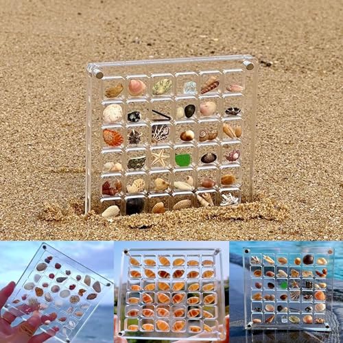 RYGRZJ Magnetische Aufbewahrungsbox aus Acryl, Muschel-Aufbewahrungsbox, dekorative Muschel-Seestern-Schmuckstücke, klare Acryl-Diamant-Edelstein-Perlen, Aufbewahrungsbox von RYGRZJ