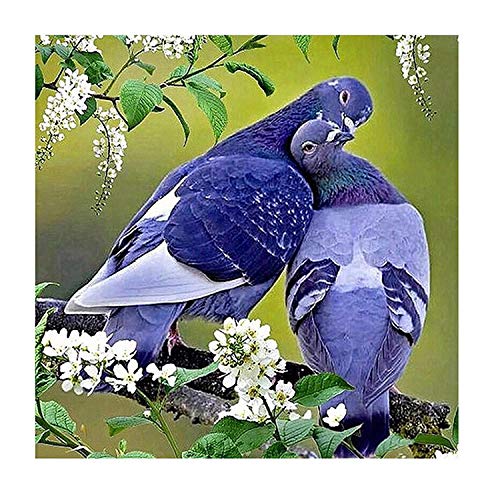 RYQRP 5D Diamant Malerei Blaue Taube DIY Diamond Painting Set Voller Bohrer Crystal Stickerei Bilder Kunst Handwerk Cross Stitch Kreuzstich Wohnkultur 30cmx30cm RYQRP 5D Diamant Malerei Blaue Taube DIY Diamond Painting Set Voller Bohrer Crystal Stickerei Bilder Kunst Handwerk Cross Stitch Kreuzstich Wohnkultur 30cmx30cm von RYQRP