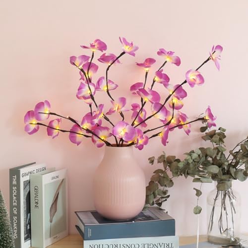 Beleuchtete Blumen LED-Zweigzweige insgesamt 40 LED-Lichter 2er-Pack Zweige 70 cm für Vase künstliche Baumlichter Außen- und Innendekoration Raumaufteilung Nachtlichterkette natürliche Pflanze von Raaxola