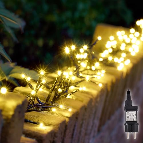 Raburg Lichterkette außen 30 m, 1000 LED Lichterkette Gelbweiß, Timer, 8 Modi, wasserdicht, Lichterkette Weihnachtsbaum, Memory Funktion, für Innen, Balkon, Garten, Party, Galaxie 1000 von Raburg