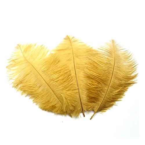 Rachlicy Künstliche Strauße Federn Handwerk DIY Feder Federn Für Hochzeit Weihnachtsdekoration 3 Stcs Gold, Straußfedern, Große Federn, Handwerksfedern Dekorationen Rachlicy Künstliche Strauße Federn Handwerk DIY Feder Federn Für Hochzeit Weihnachtsdekoration 3 Stcs Gold, Straußfedern, Große Federn, Handwerksfedern Dekorationen von Rachlicy