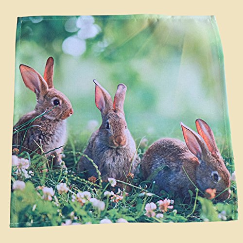 Tischdecke Osterhasen im Gras ca. 35 cm x 50 cm Farbe grün (40 cm x 40 cm) von Raebel OHG
