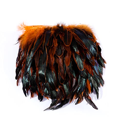 Raibertin Coque Rooster Hackle Feder Fransen Trim für Kostüm Handwerk Kleid Dekoration Schlappen Feder Trim Ribbon DIY Umhang Schal Rock Halloween Karneval Kleidung Nähen Dekor (Orange) von Raibertin