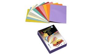 EXACOMPTA 850002E Eckspannermappe Top File, DIN A4, aus Karton rosa von Rainex