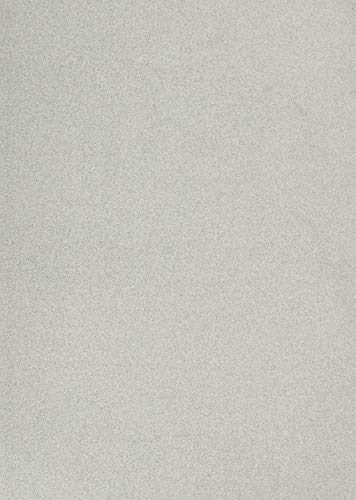 Ranger TAC65500 Tim Holtz Alcohol Ink Cardstock 5"X7" 10/Pkg-Silver Sparkle, Multicolour, c1 von Ranger