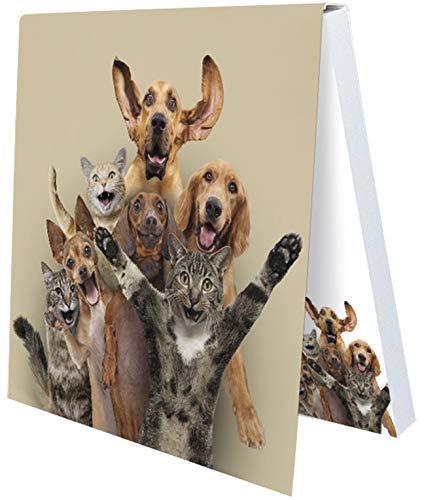 Klebezettel Hund Katze Hallo John Lund 7,2 x 7,2 cm 50 Blatt Rannenberg & Friends Klebezettel Hund Katze Hallo John Lund 7,2 x 7,2 cm 50 Blatt Rannenberg & Friends von Rannenberg & Friends