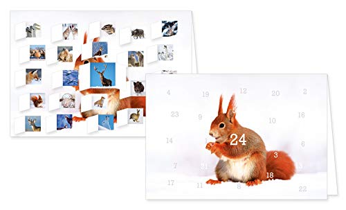 RASW054 -" Heimische Tiere im Winter" Adventskalender-Doppelkarte - 12,5 x 18,5 cm mit hochwertigem Kuvert von Rannenberg & Friends