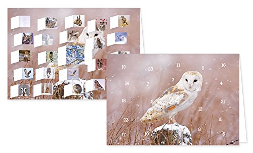 RASW057 -"Eulen im Winter" Adventskalender-Doppelkarte - 12,5 x 18,5 cm mit hochwertigem Kuvert RASW057 -"Eulen im Winter" Adventskalender-Doppelkarte - 12,5 x 18,5 cm mit hochwertigem Kuvert von FOXCUP