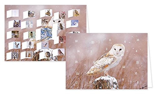 RASW057 -"Eulen im Winter" Adventskalender-Doppelkarte - 12,5 x 18,5 cm mit hochwertigem Kuvert von Rannenberg & Friends