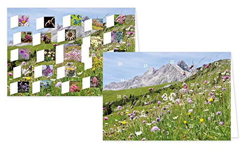 RASW059 -" Alpenblumen" Adventskalender-Doppelkarte - 12,5 x 18,5 cm mit hochwertigem Kuvert von Rannenberg & Friends