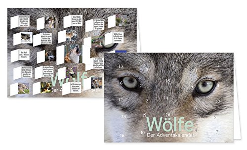 RASW066 - "Wölfe" Adventskalender-Doppelkarte - 12,5 x 18,5 cm mit hochwertigem Kuvert von Rannenberg & Friends
